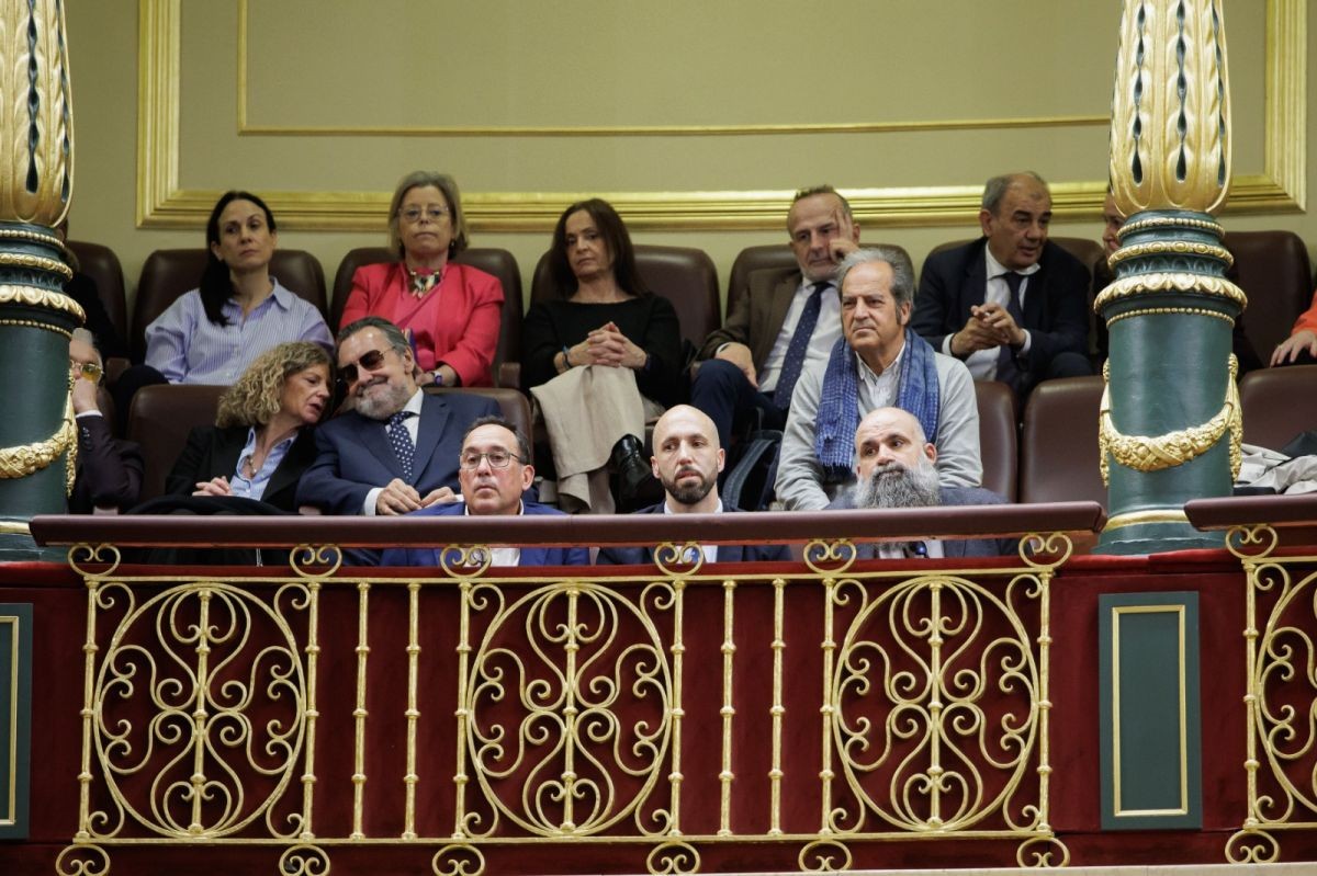 Representantes de la economía social, el tercer sector y la discapacidad en la Cámara Baja durante la aprobación de la Ley | Foto del Congreso/Verónica Povedano