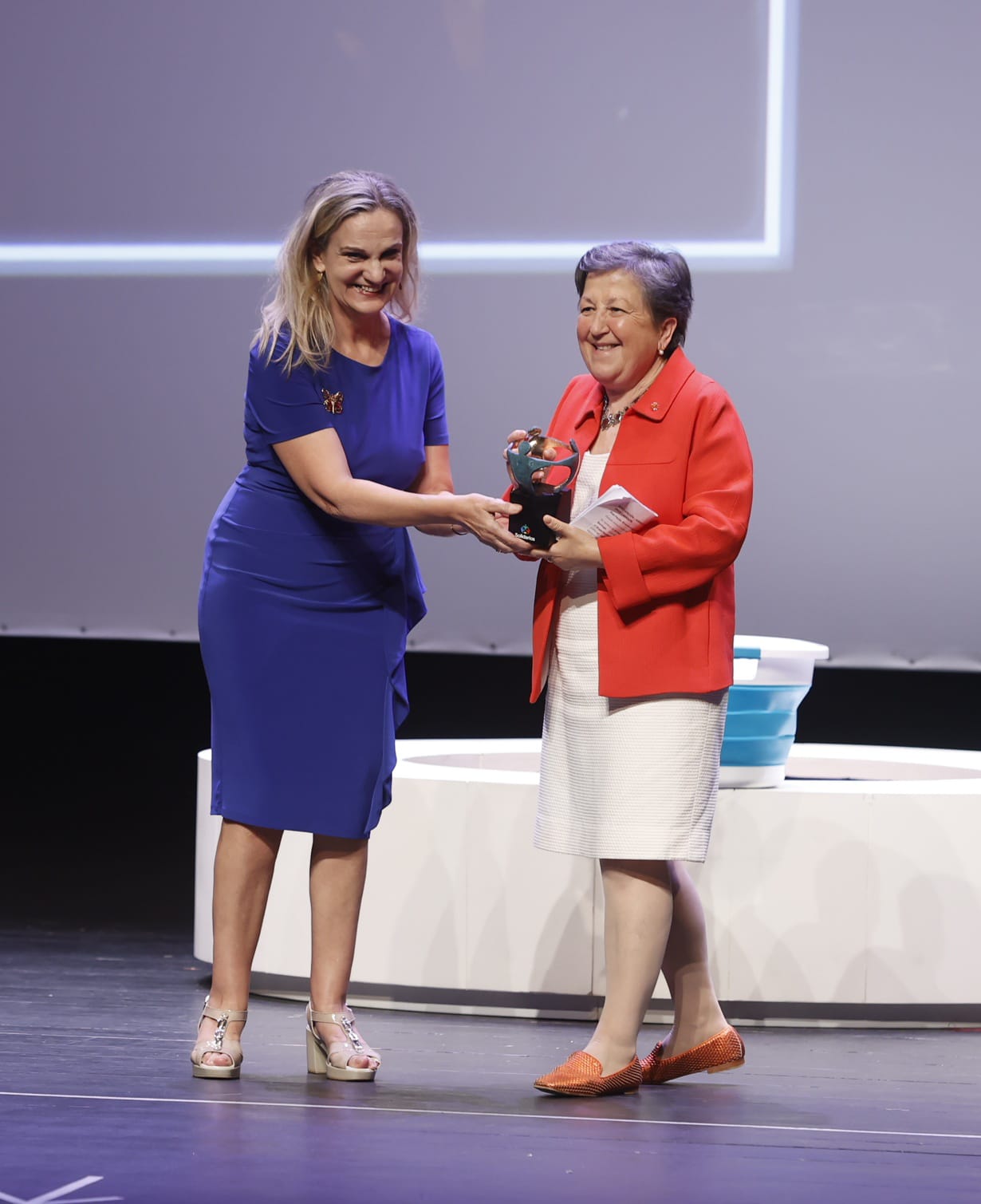 Pilar Farjas, consejera-delegada de Arroupa recogiendo premio solidario
