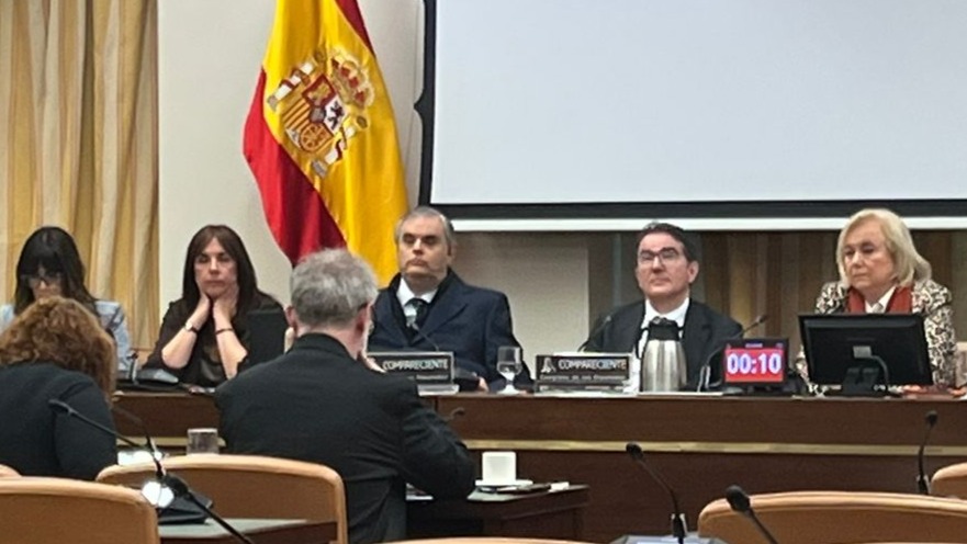 Jesús Hernández, director de Accesibilidad e Innovación de Fundación ONCE, y Andrés Ramos, presidente de la Fundación ONCE de Atención a Personas con Sordoceguera (FOAPS) durante su comparecencia en el Congreso