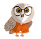 Icono de la lechuza